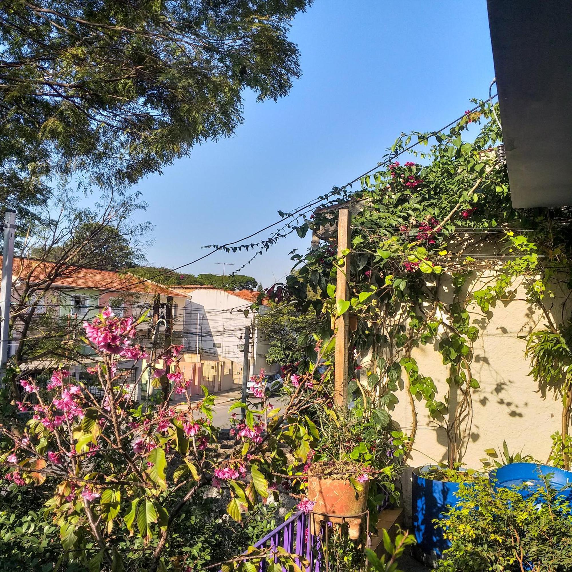סאו פאולו Micasa Hostel - Congonhas מראה חיצוני תמונה